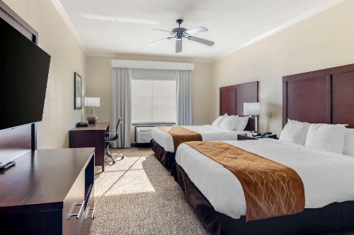 Comfort Inn & Suites - image 42