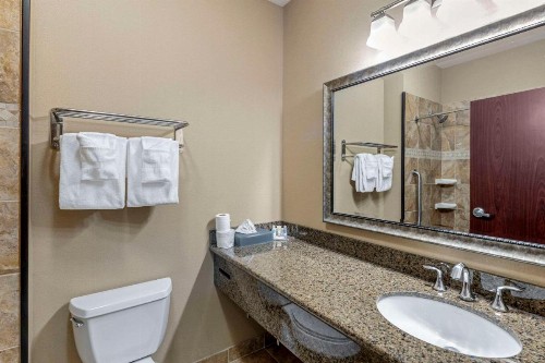 Comfort Inn & Suites - image 7