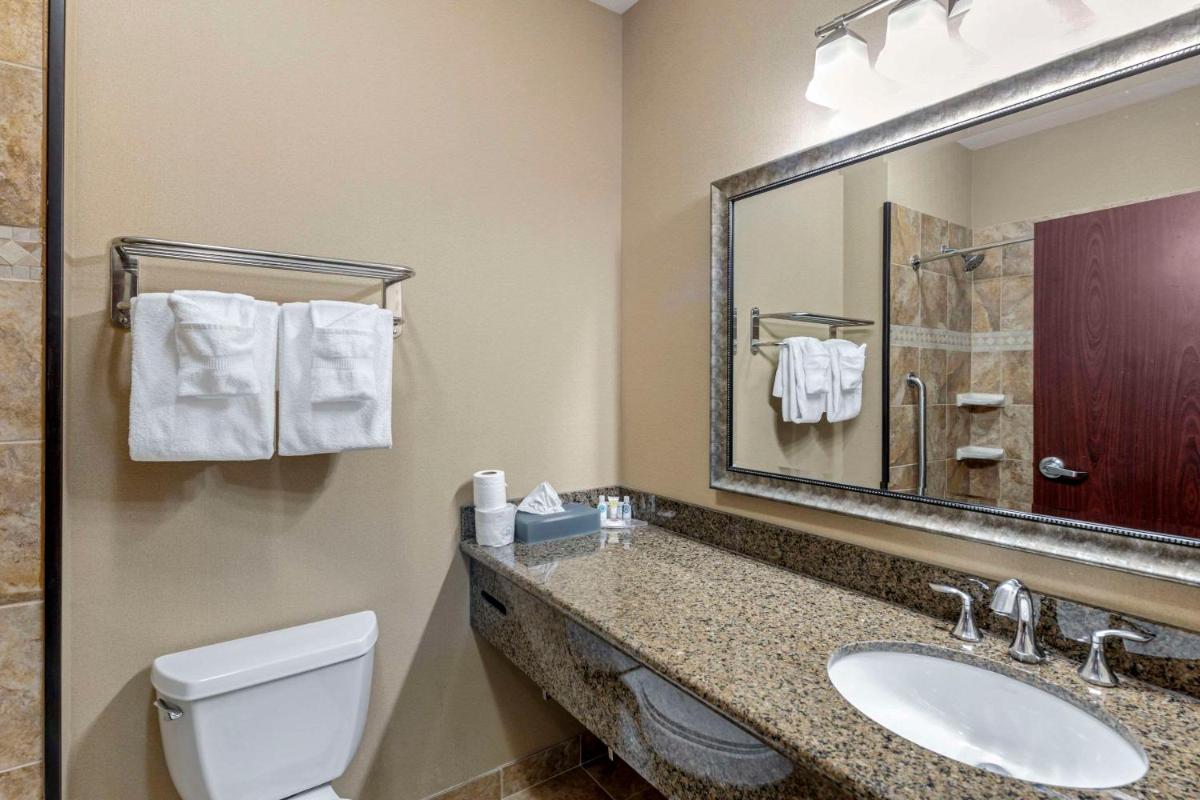 Comfort Inn & Suites - image 7