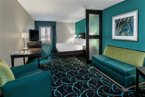 Holiday Inn Express Hotel and Suites Fort Worth/I-20 - image 23