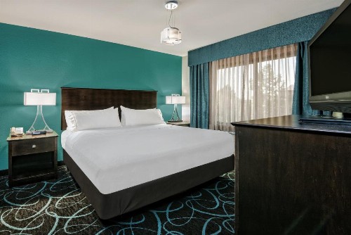 Holiday Inn Express Hotel and Suites Fort Worth/I-20 - image 27