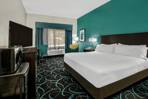 Holiday Inn Express Hotel and Suites Fort Worth/I-20 - image 28