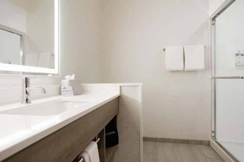 Holiday Inn Express Hotel and Suites Fort Worth/I-20 - image 29