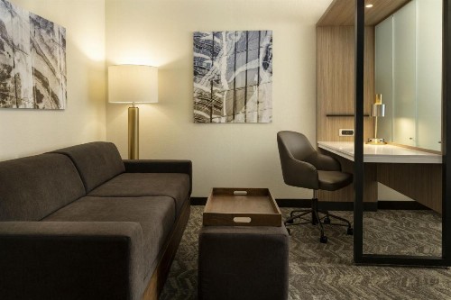 SpringHill Suites Fort Worth University - image 16