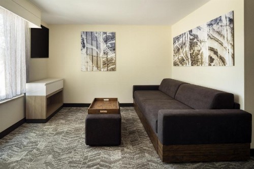 SpringHill Suites Fort Worth University - image 18