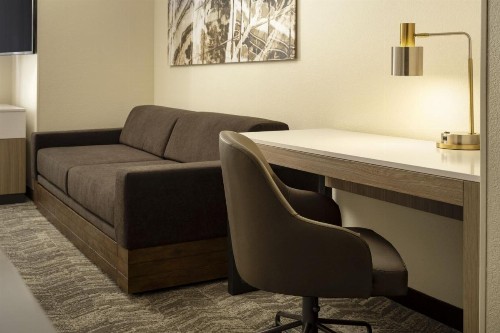 SpringHill Suites Fort Worth University - image 20
