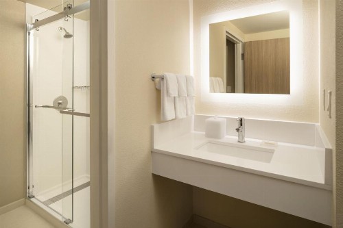SpringHill Suites Fort Worth University - image 26