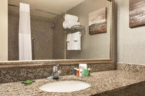 Radisson Hotel North Fort Worth Fossil Creek - image 28