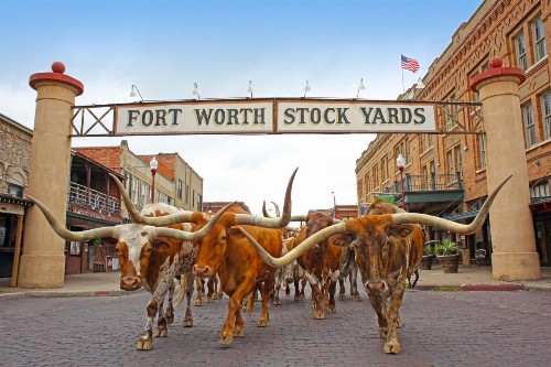 Radisson Hotel North Fort Worth Fossil Creek - image 37