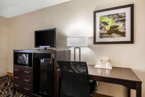 Quality Inn and Suites Cattle Baron - image 22