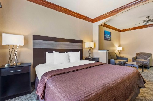 Best Western Fort Worth Inn and Suites - image 16