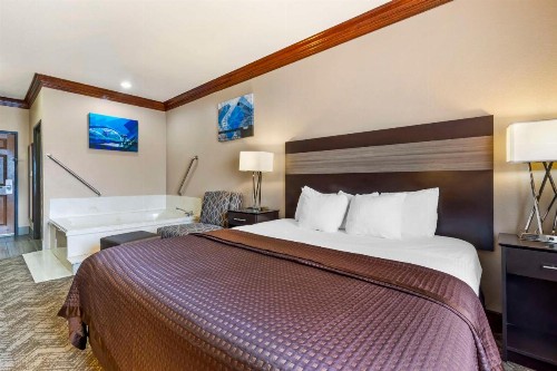 Best Western Fort Worth Inn and Suites - image 19