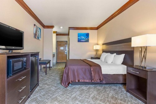 Best Western Fort Worth Inn and Suites - image 26