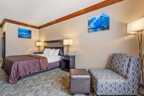 Best Western Fort Worth Inn and Suites - image 27