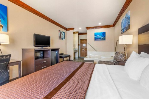 Best Western Fort Worth Inn and Suites - image 5