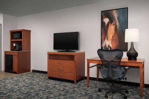 Hilton Garden Inn Fort Worth Medical Center - image 15