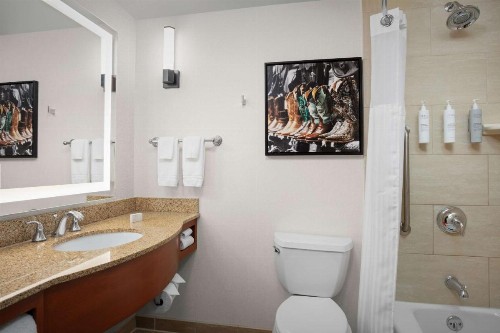 Hilton Garden Inn Fort Worth Medical Center - image 3