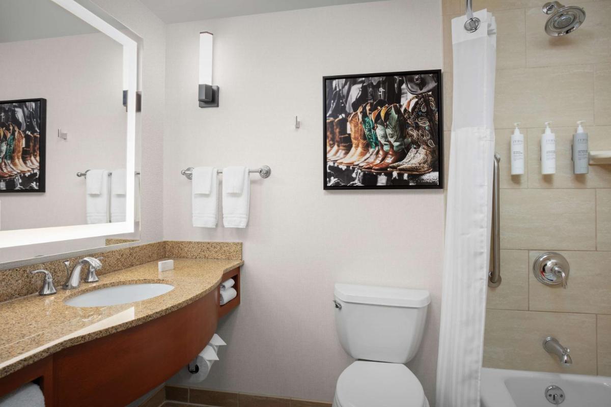 Hilton Garden Inn Fort Worth Medical Center - image 3