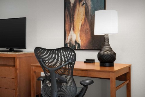 Hilton Garden Inn Fort Worth Medical Center - image 9