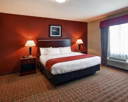 Comfort Suites Lake Worth - image 3