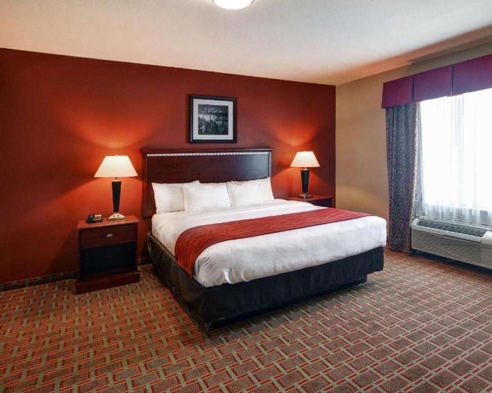 Comfort Suites Lake Worth - image 3