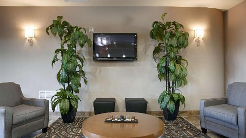 Best Western Plus Fort Worth Forest Hill Inn & Suites - image 10