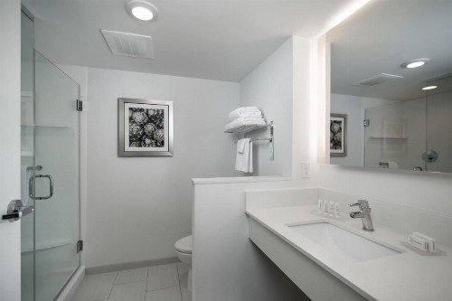 Fairfield Inn & Suites Fort Worth Downtown/Convention Center - image 16