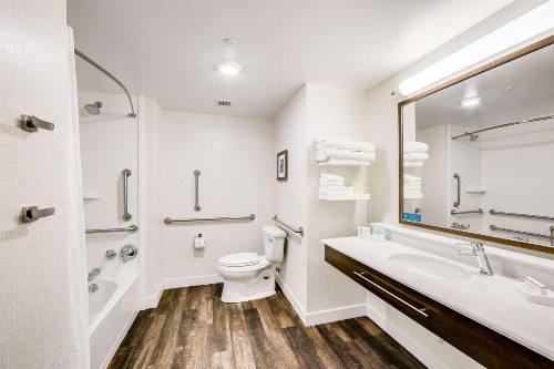 Hampton Inn & Suites Fort Worth Downtown - image 19