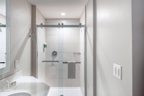 SpringHill Suites by Marriott Fort Worth Historic Stockyards - image 3