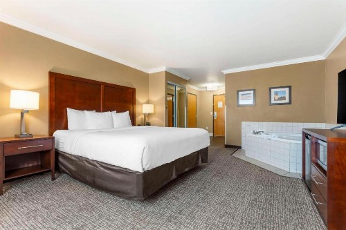 Comfort Inn & Suites Redwood Country - image 11