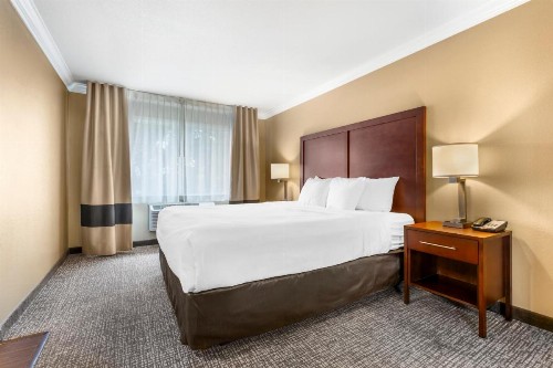 Comfort Inn & Suites Redwood Country - image 12