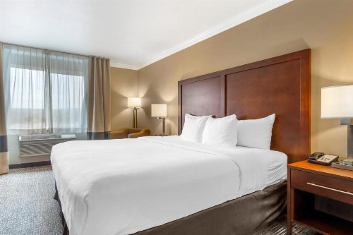 Comfort Inn & Suites Redwood Country - image 19