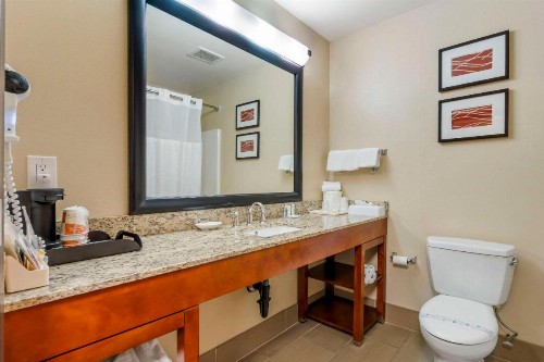 Comfort Inn & Suites Redwood Country - image 22