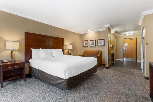 Comfort Inn & Suites Redwood Country - image 24