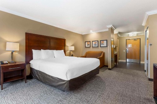 Comfort Inn & Suites Redwood Country - image 26