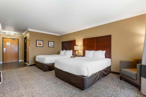 Comfort Inn & Suites Redwood Country - image 27