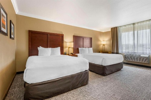 Comfort Inn & Suites Redwood Country - image 28