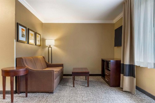 Comfort Inn & Suites Redwood Country - image 3