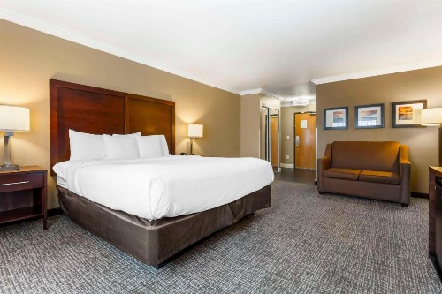Comfort Inn & Suites Redwood Country - image 34