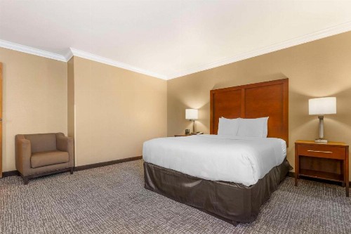 Comfort Inn & Suites Redwood Country - image 36