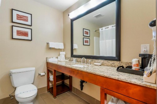 Comfort Inn & Suites Redwood Country - image 4