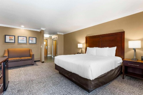 Comfort Inn & Suites Redwood Country - image 45