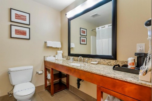 Comfort Inn & Suites Redwood Country - image 47