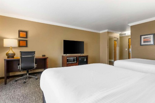 Comfort Inn & Suites Redwood Country - image 5