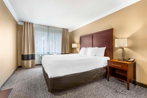 Comfort Inn & Suites Redwood Country - image 7