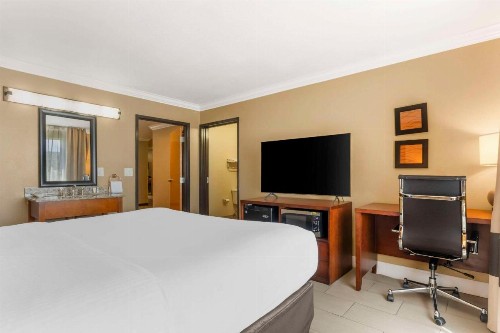 Comfort Inn & Suites Redwood Country - image 9