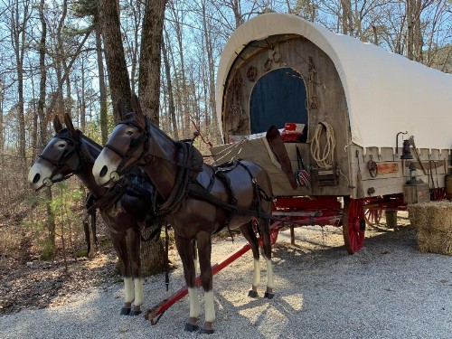 Prairie Palace Covered Wagon - image 2