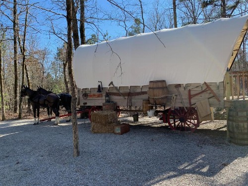 Prairie Palace Covered Wagon - image 3