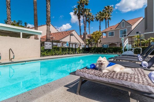 Sonesta ES Suites Huntington Beach Fountain Valley - image 15