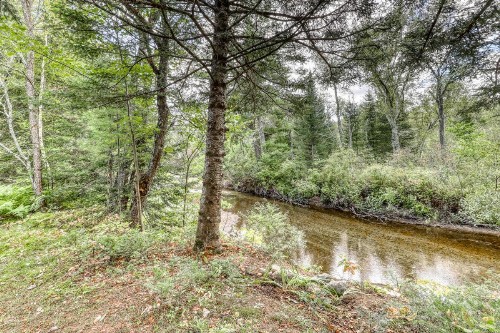 The River House - image 10